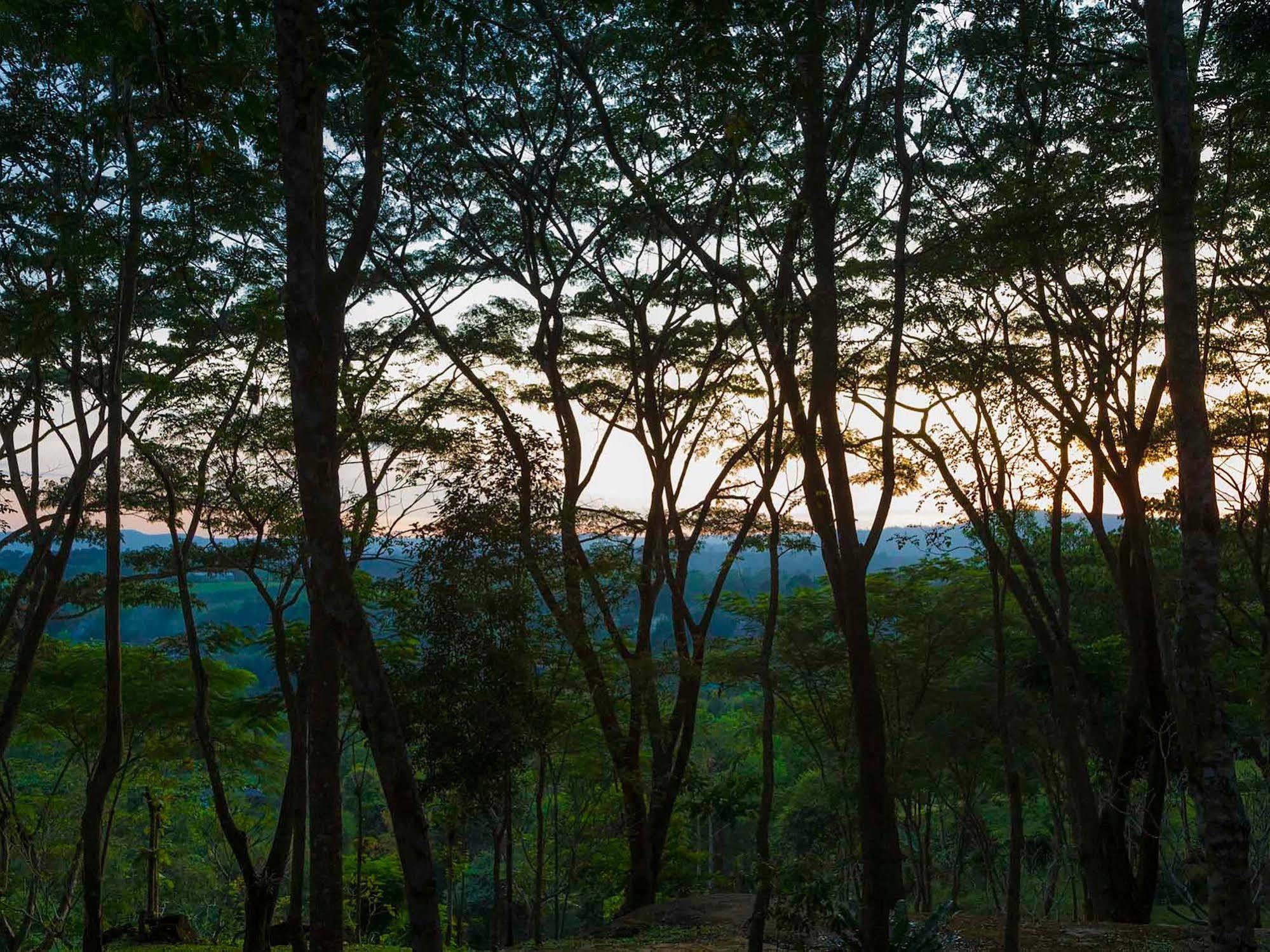 Village Farm And Winery Wang Nam Khiao Ngoại thất bức ảnh